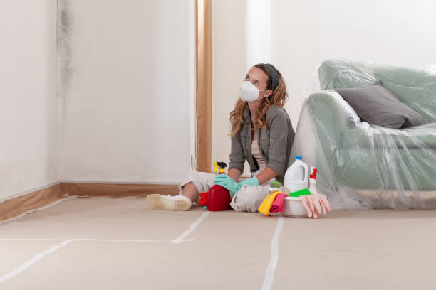 Reliable Mold Removal contractor in New Oxford, PA by WQB Mold Removal